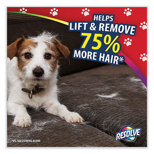 Reckitt Benckiser Resolve Pet Expert Hair Eliminator | Floral， 18 oz Aerosol Spray， 6