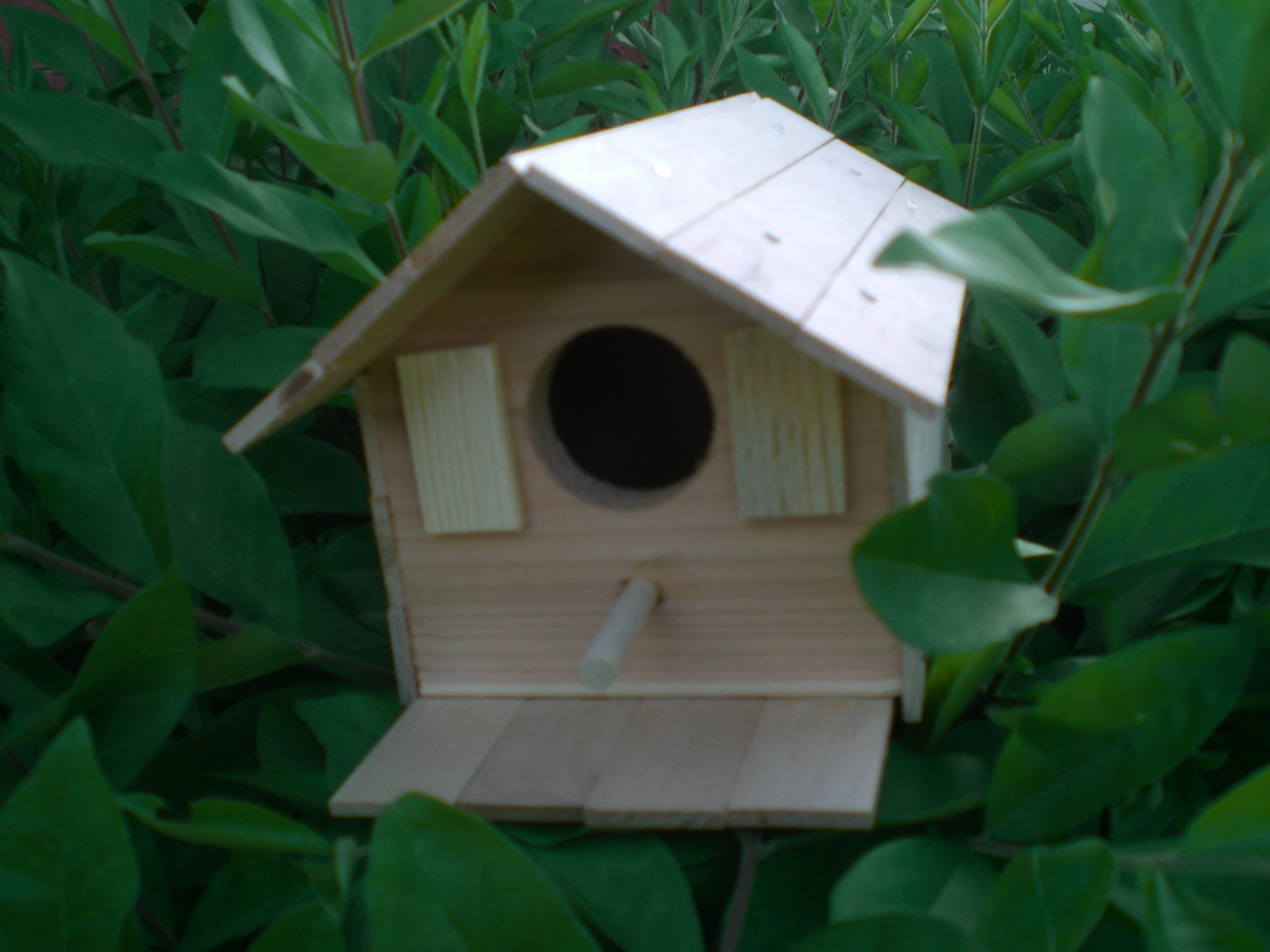 HAMMOND TOYS Wood Bird House Kit Complete With Nails