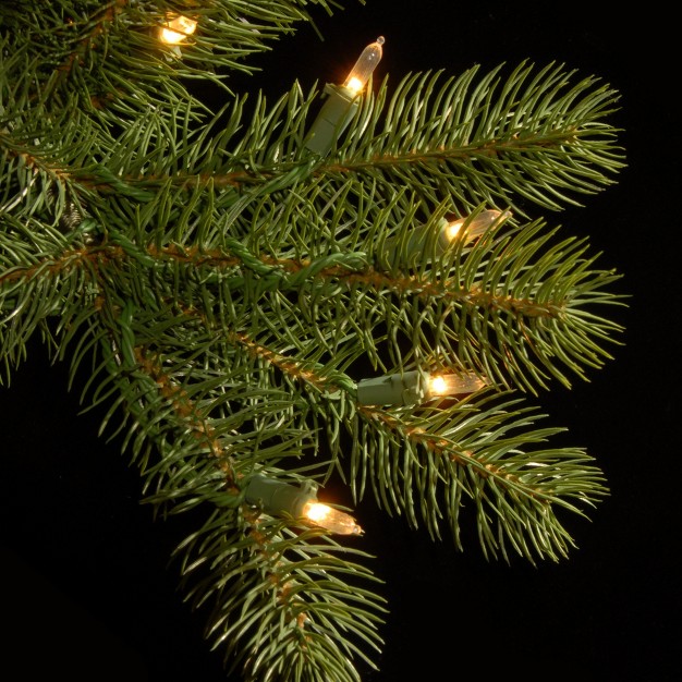 24 In Pre lit Downswept Douglas Wreath With Warm White Led Lights National Tree Company