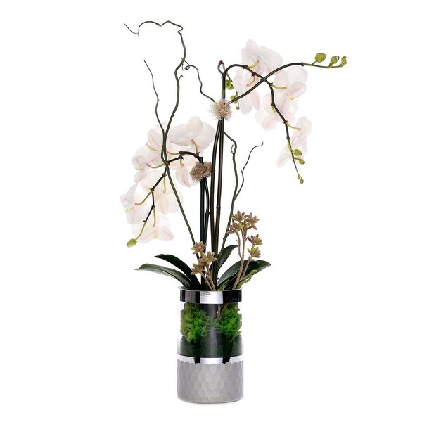 White Orchid Arrangement in Silver Cylinder Glass Vase