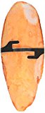 Prevue Pet Products 48081114223 4 in. Color Cuttleboneand#44; Orange and Vanilla - 2 Piece