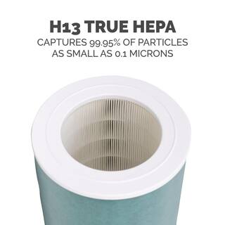 Fellowes AeraMax SE True HEPA and Carbon Air Purifier Filter 9787801