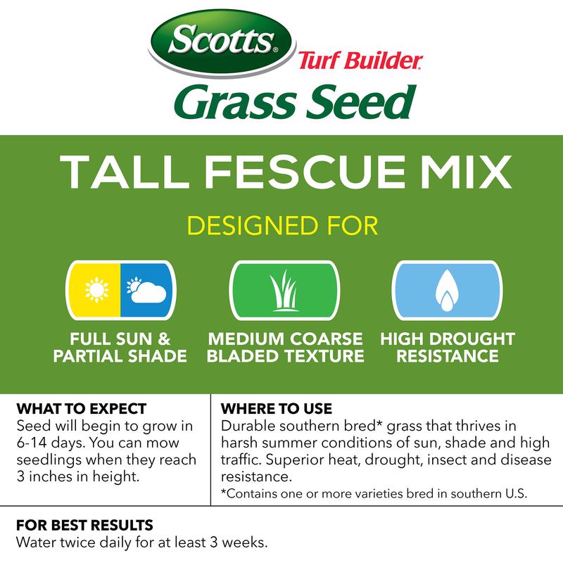 TRF BUILD 3# TALL FESCUE