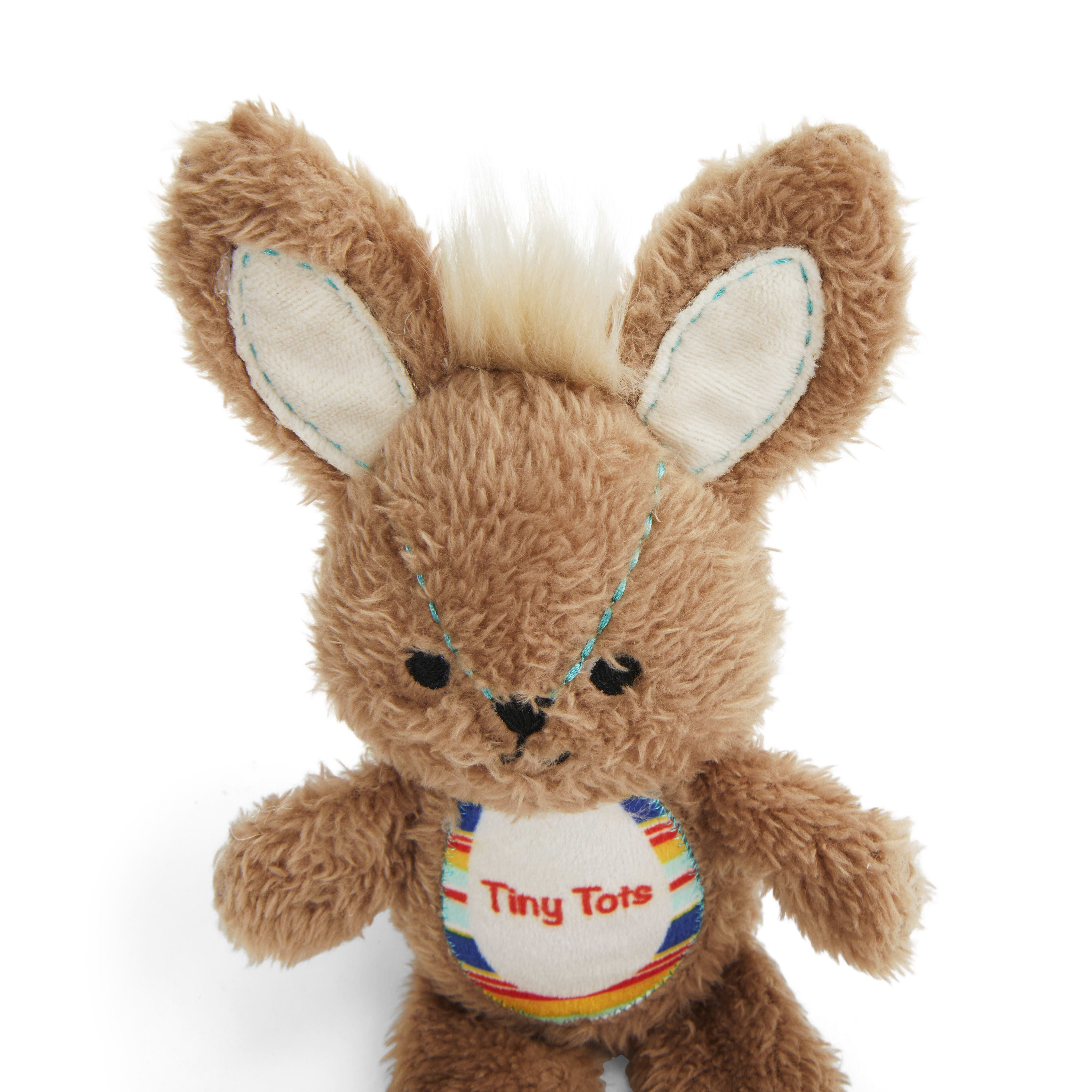 Leaps  Bounds Plush Bunny Dog Toy， Small