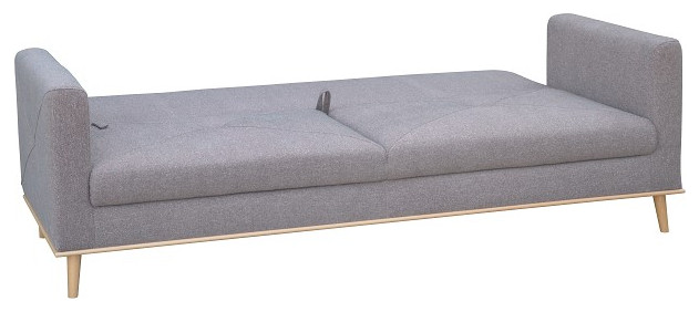 LAVENDE Sleeper Sofa   Midcentury   Sleeper Sofas   by MAXIMAHOUSE  Houzz