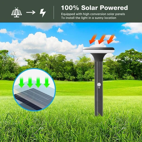 Inowel Solar Outdoor Light Pathway Garden Dusk to Dawn with Stake 2116