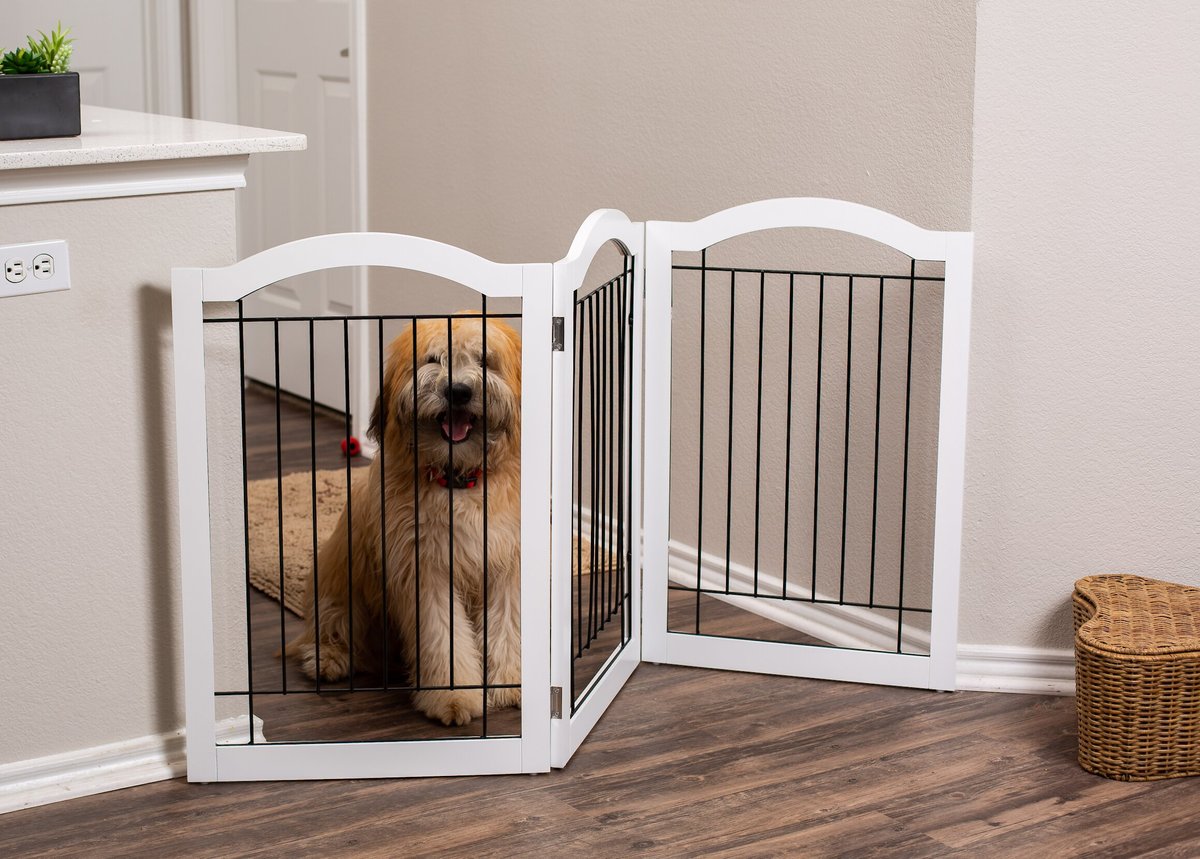 Internet's Best Arched Top Wire Dog Gate， 30-in