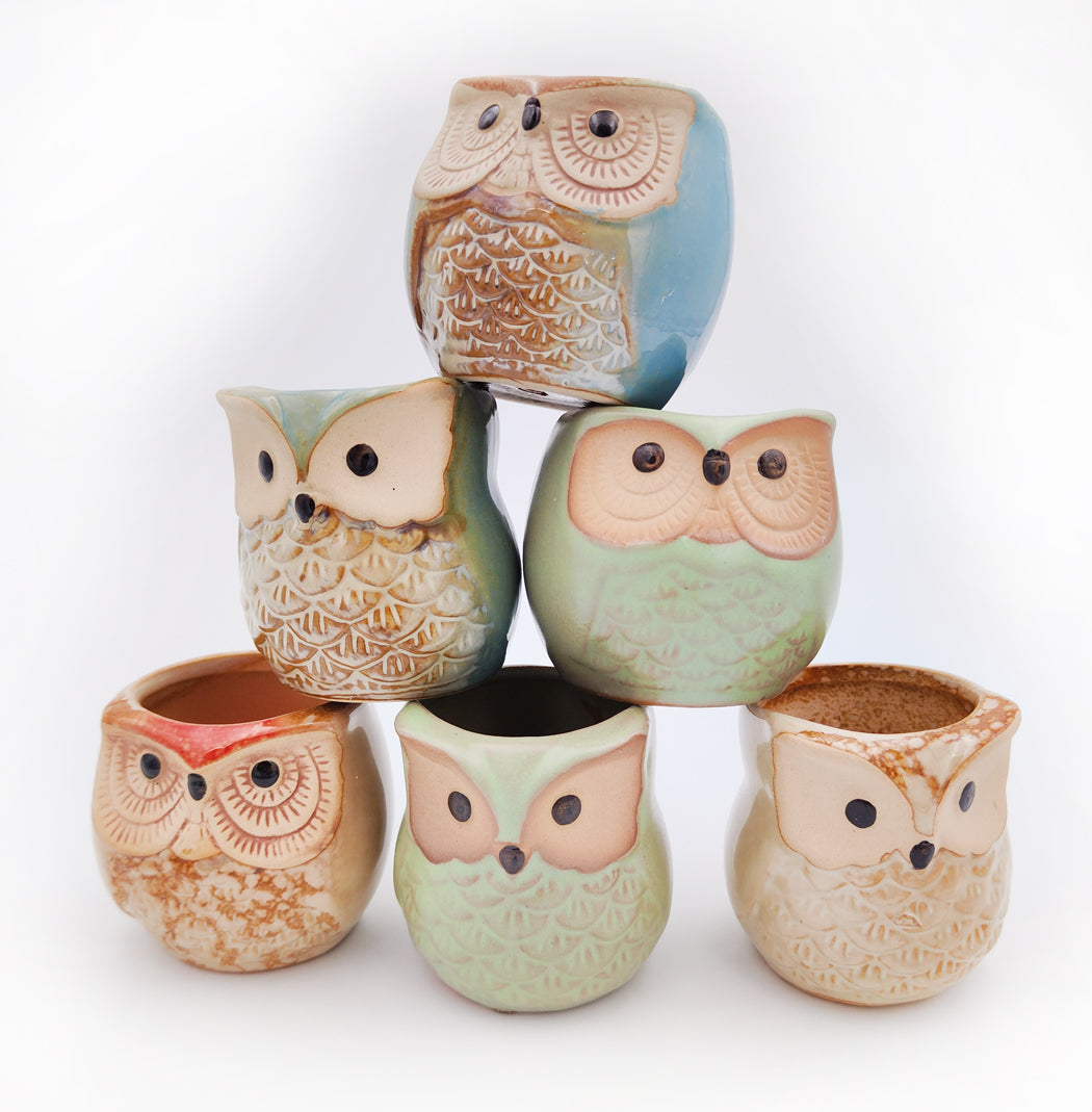 2CFUN 2.5 Inch Owl Ceramic Succulent Plants Pots Pack of 6