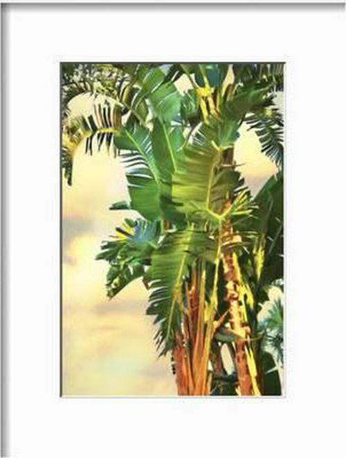 Bird of Paradise Palm II， Botanical Framed Art Print Wall Art by Melinda Bradshaw Sold by Art.Com