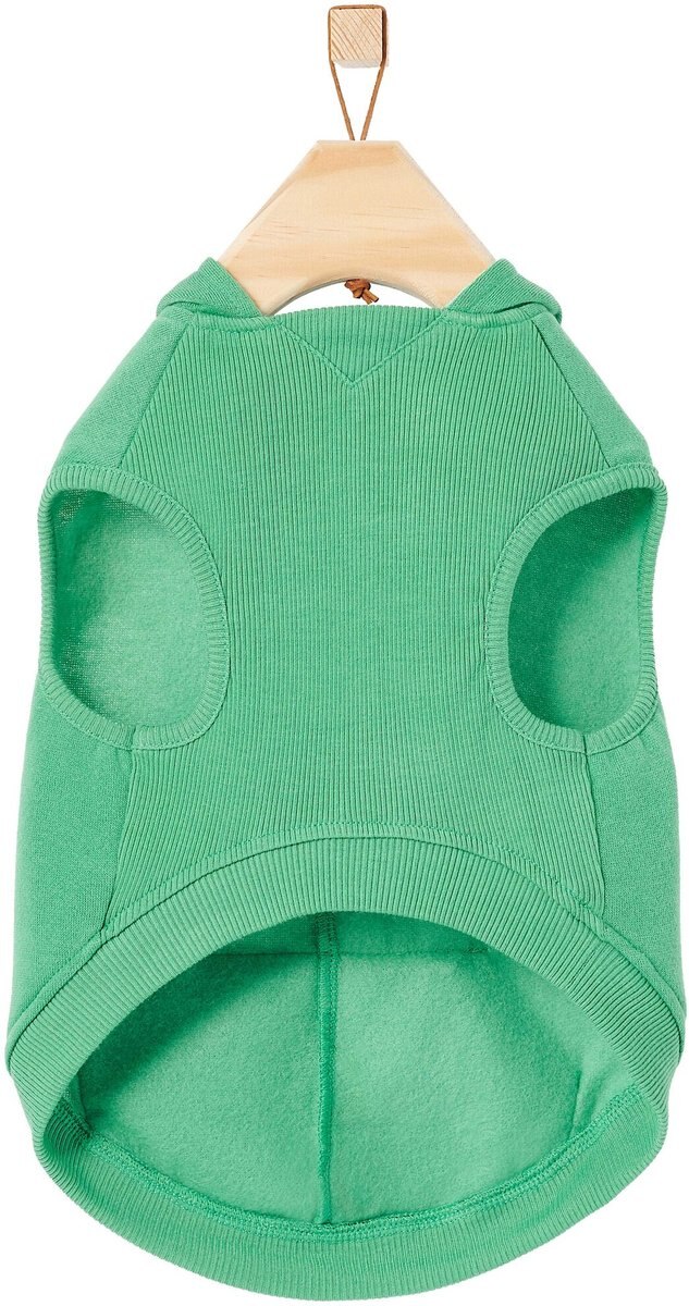 Frisco Doggiesaurus Dog and Cat Hoodie， Green