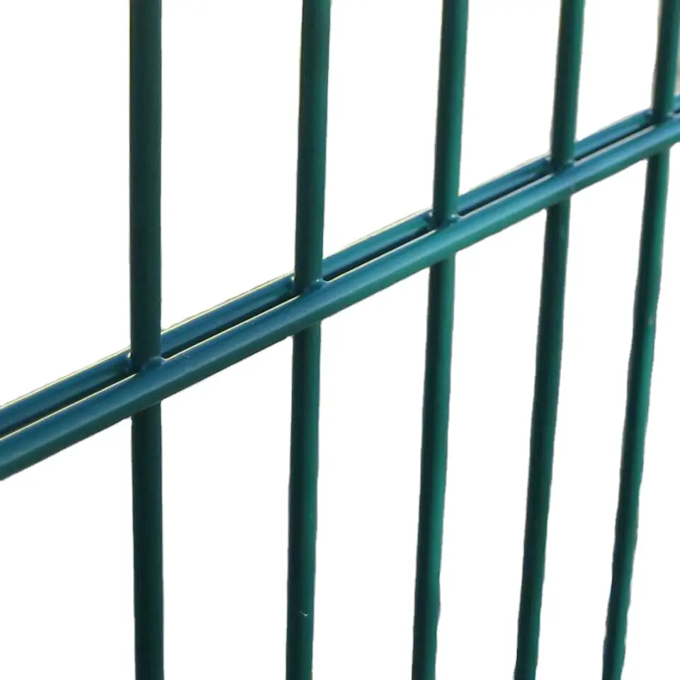 6/5/6mm Galvanized and Powder coated Double wire panels