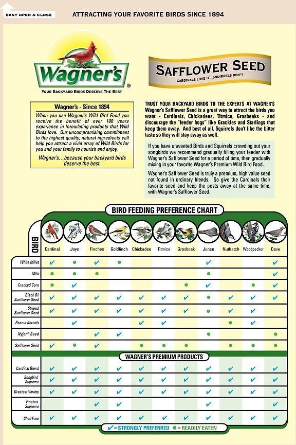 Wagner's Safflower Seed Premium Wild Bird Food