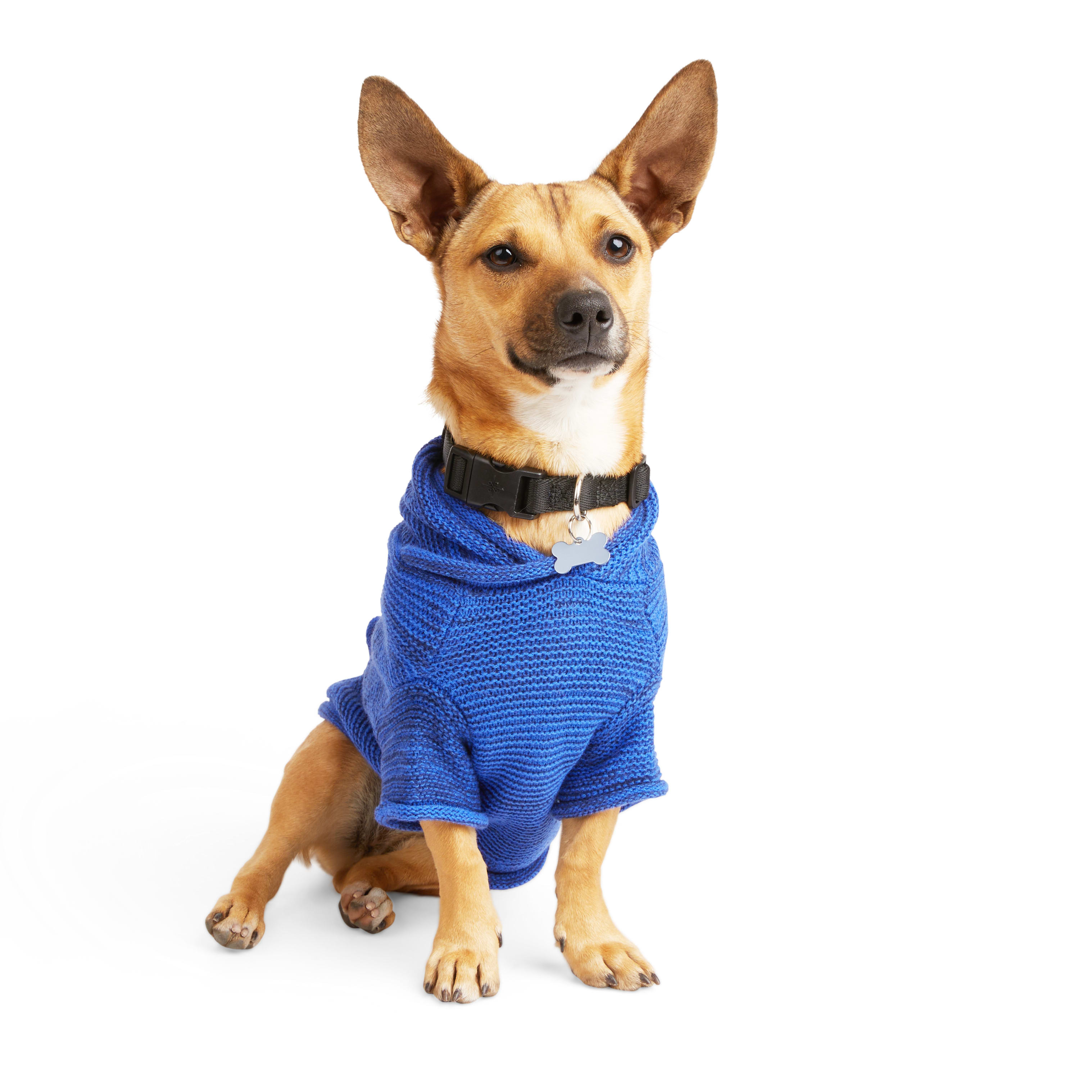 YOULY Blue Sweater Dog Hoodie， XX-Small