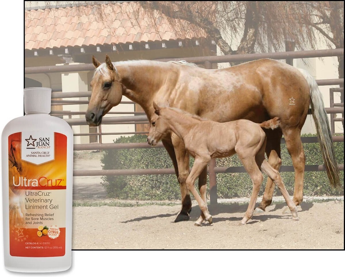 UltraCruz Veterinary Horse Liniment Gel