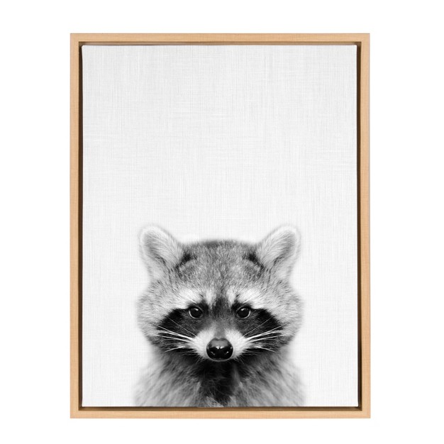 X 24 quot Sylvie Raccoon Framed Canvas By Simon Te Tai Natural Kate And Laurel