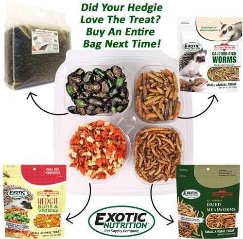 Exotic Nutrition Hedgehog Variety Pack Small Pet Treats