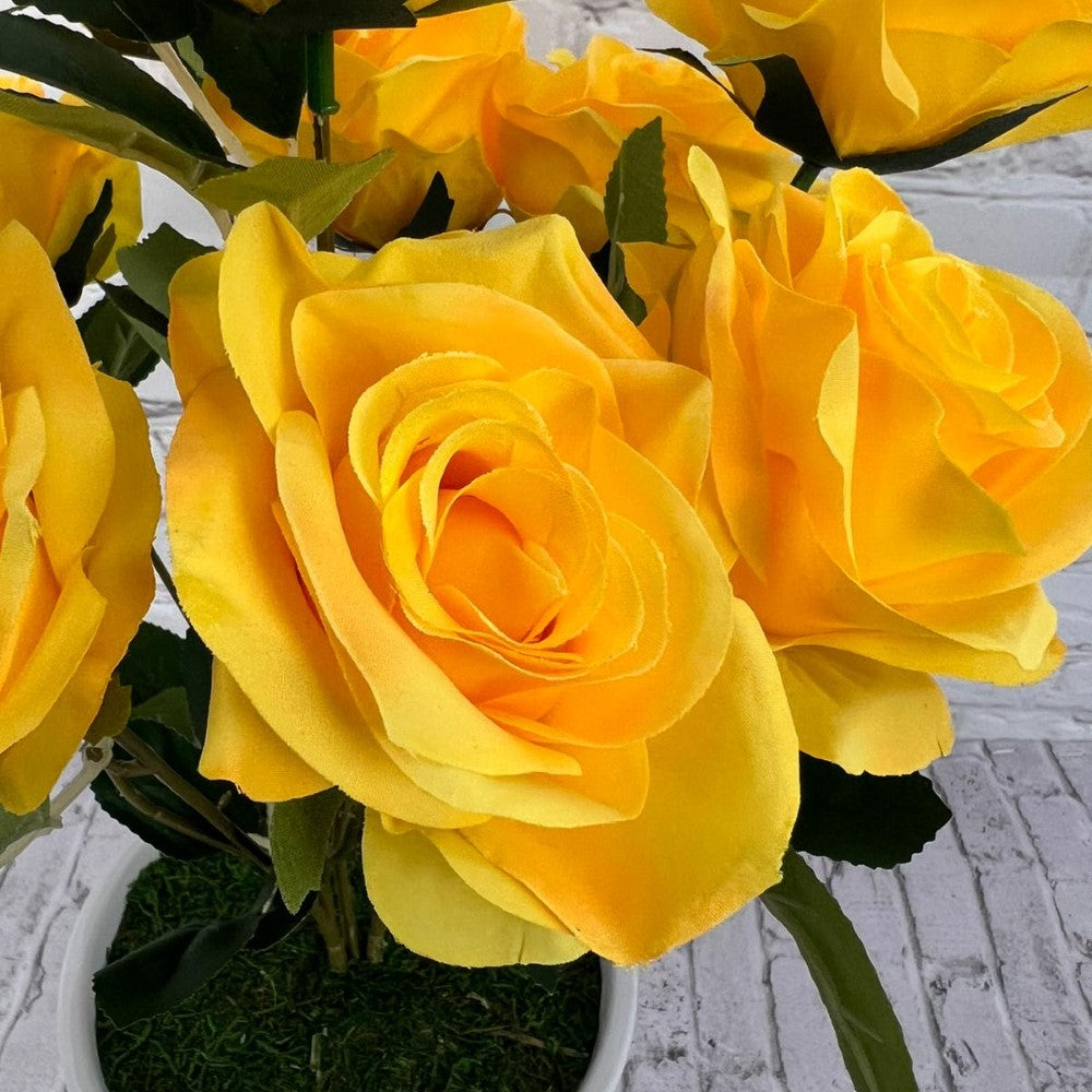 Gorgeous Roses in Ceramic Pot