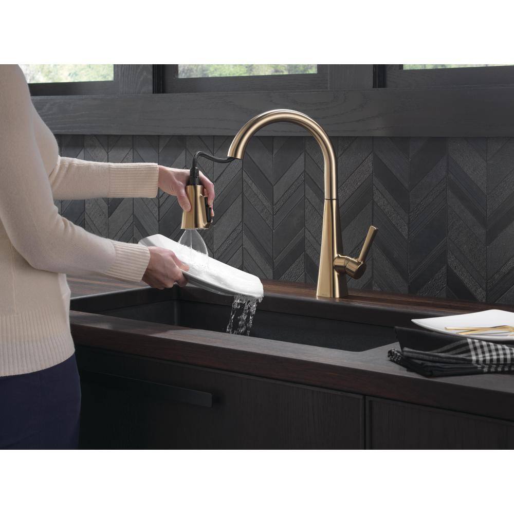 Delta Lenta Single-Handle Pull-Down Sprayer Kitchen Faucet with ShieldSpray Technology in Champagne Bronze 19802Z-CZ-DST