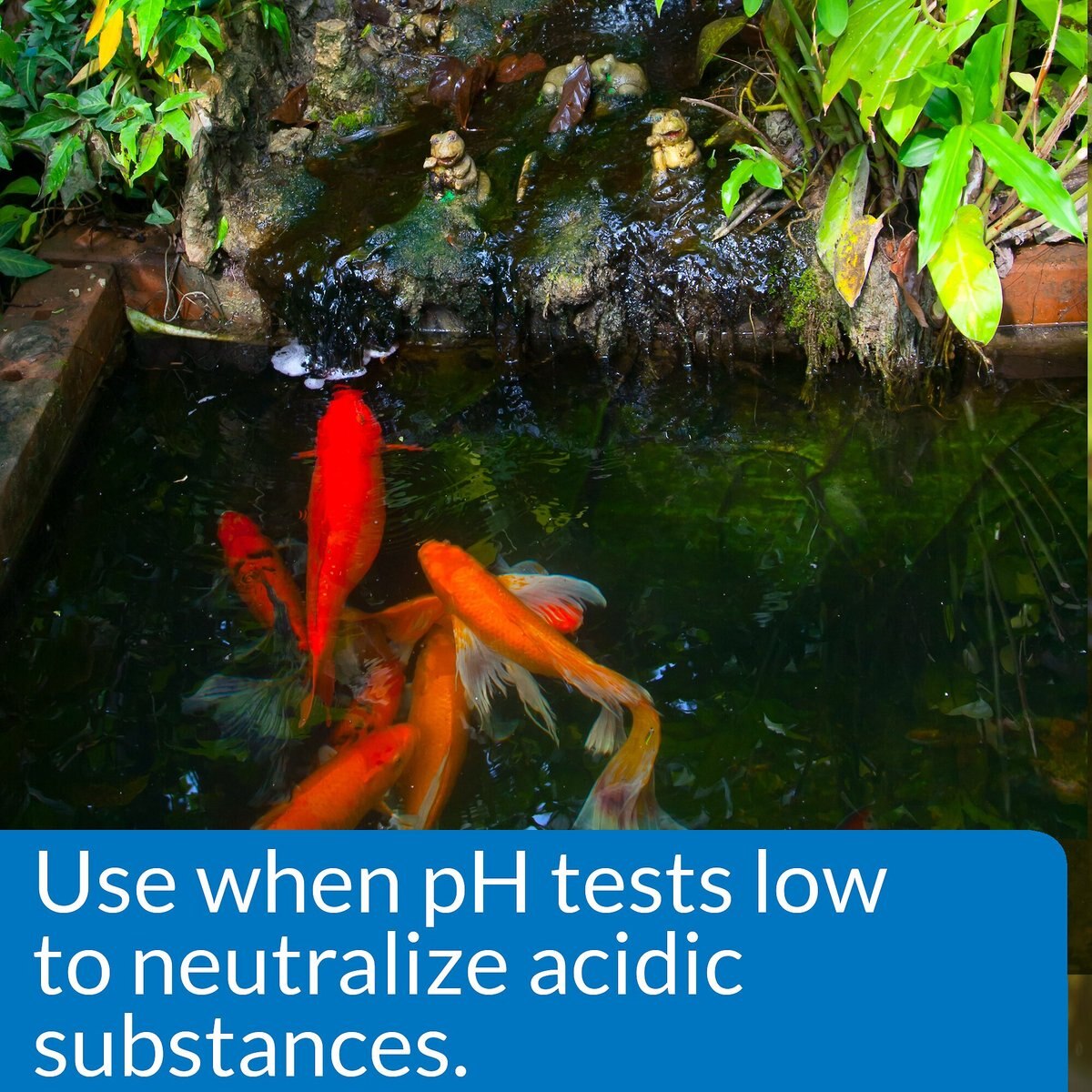 API Pond pH Up Pond Water pH Raising Solution