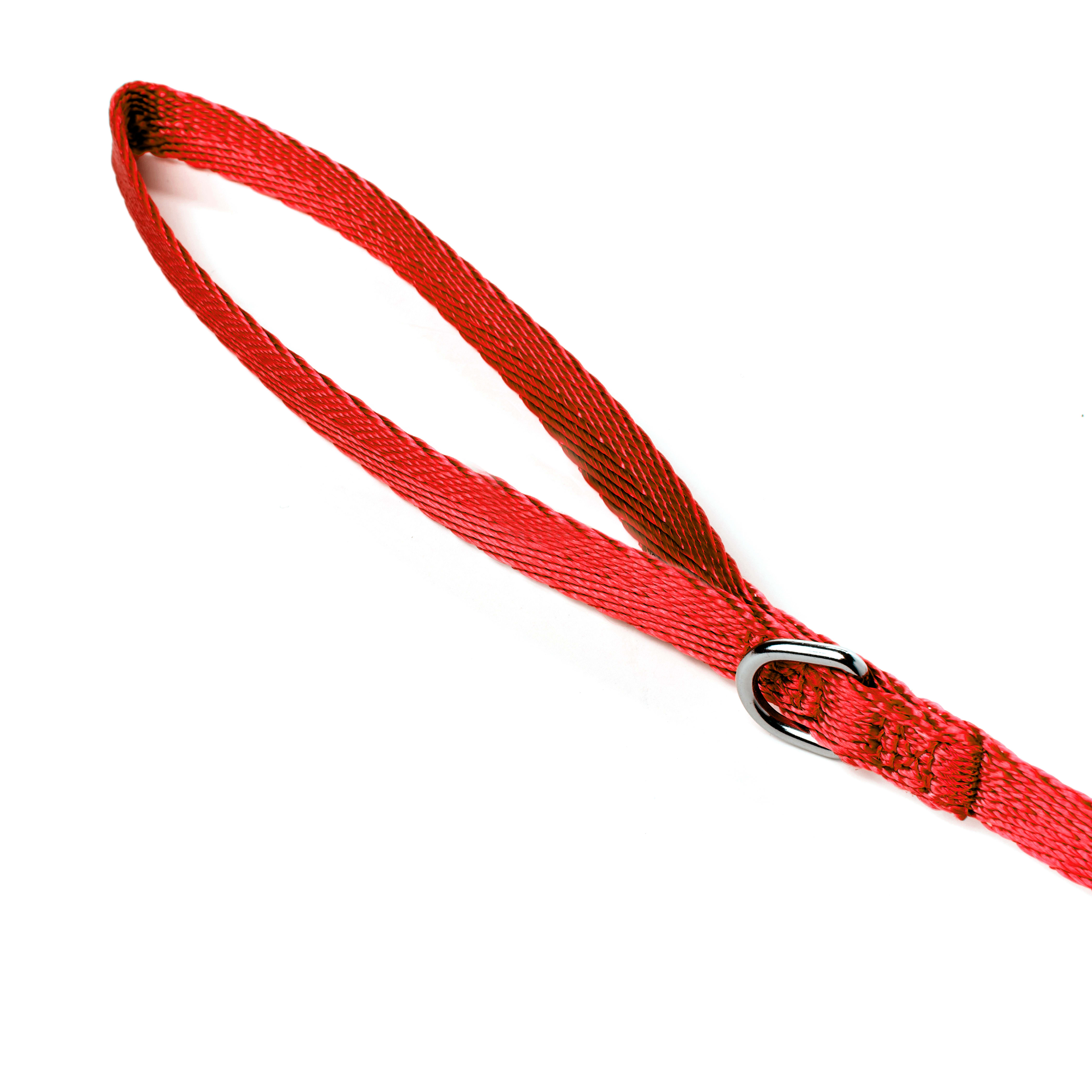 YOULY The Classic Red Webbed 6 Foot Nylon Dog Leash， Medium