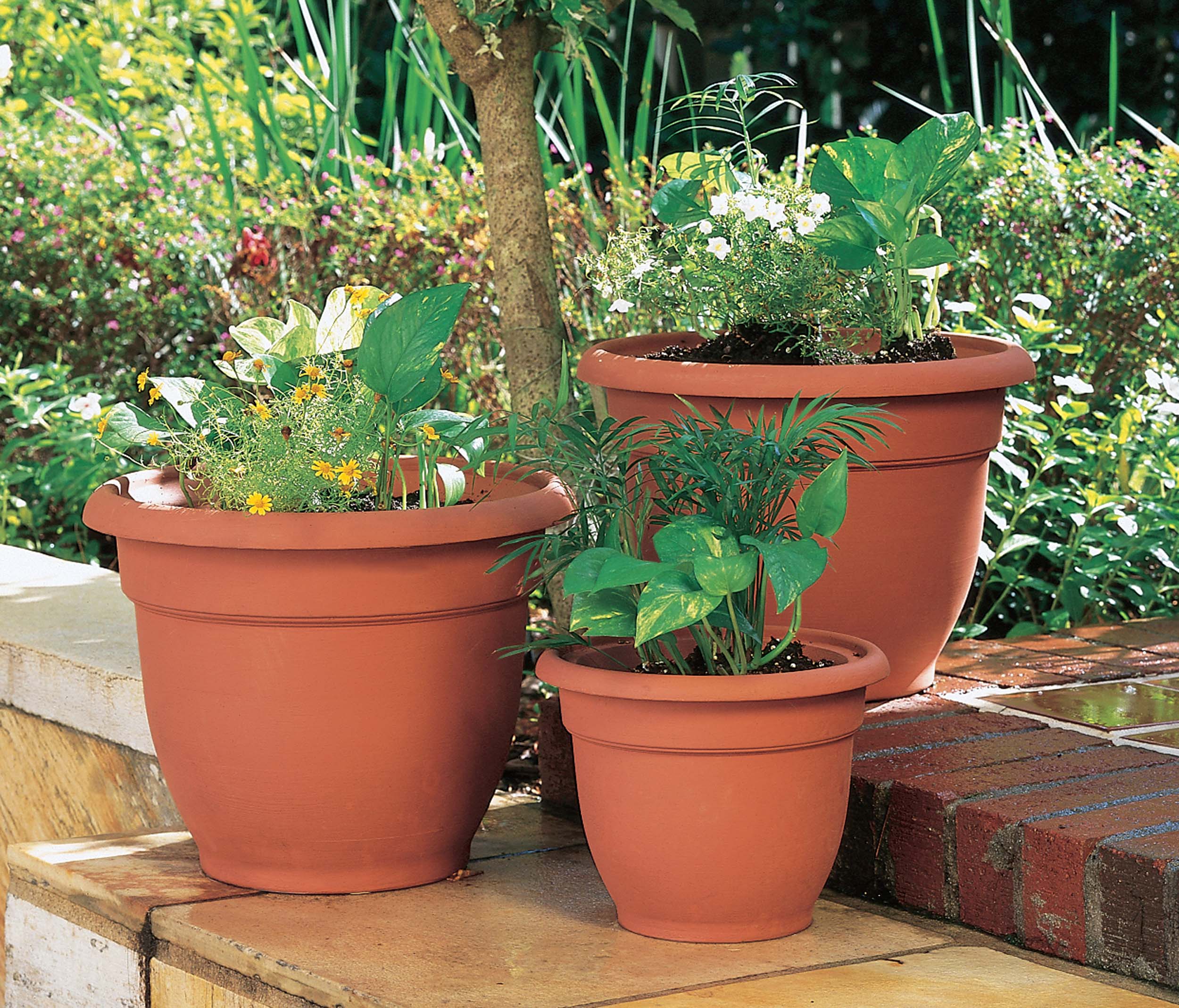 Bloem Ariana Self Watering Planter 17.75 x 13.75 Plastic Round Terracotta