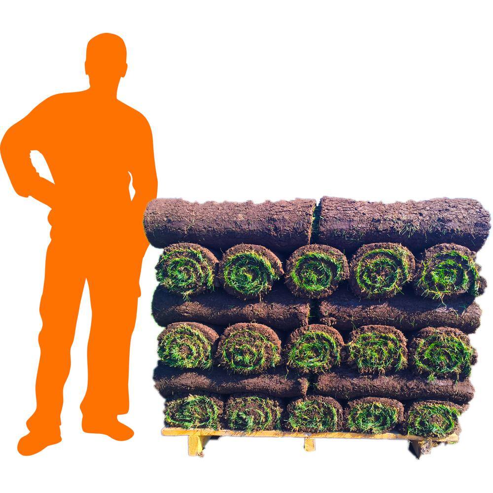 Harmony 500 sq. ft. Bluegrass Sod (1-Pallet) HH500BG1