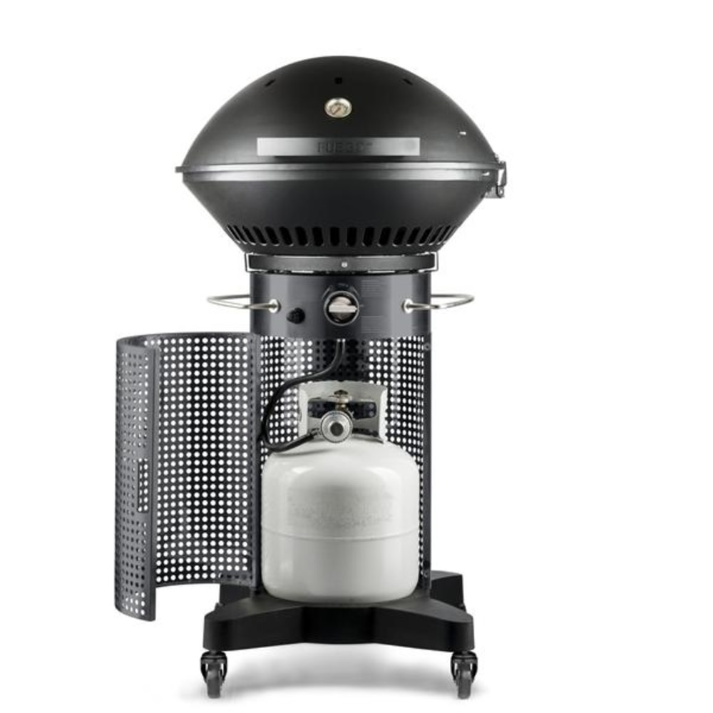 Fuego Professional 24 2 Burner Propane Gas Grill ;