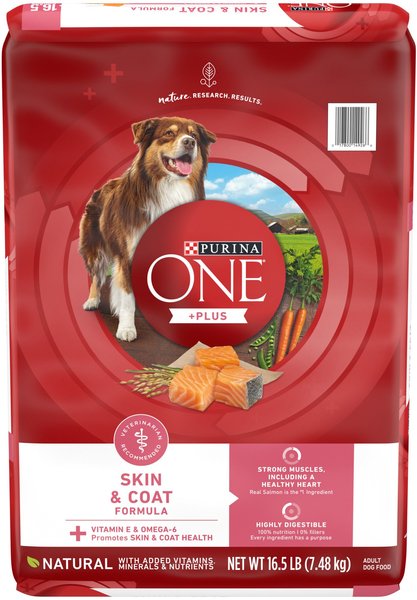 Purina ONE +Plus Adult Skin and Coat Formula Dry Dog Food