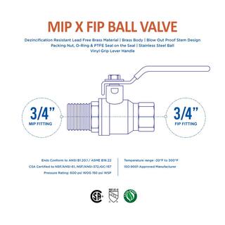 The Plumber's Choice 34 in. FIP x 34 in. MIP Premium Brass Full Port Ball Valve 822256MF