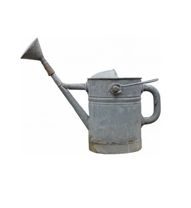 Customized Antique Finished Design Iron Watering Can Garden Decoration Fancy Design Galvanized Iron Water Can