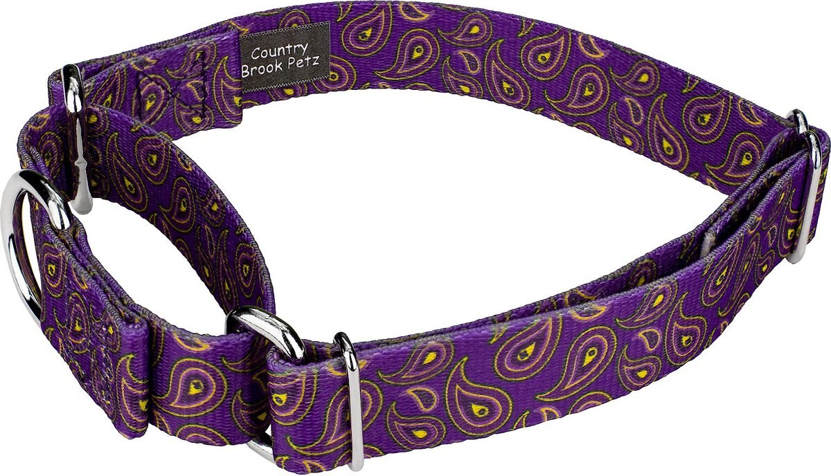 Country Brook Design Paisley Polyester Martingale Dog Collar