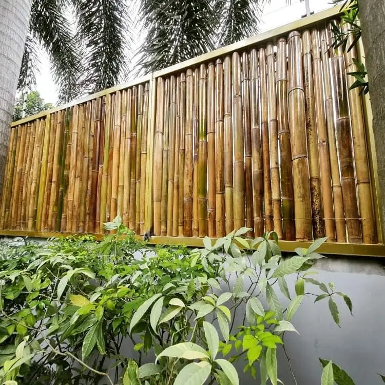 UNIQUE BAMBOO FENCE   VIET NAM Hot Selling Strong BAMBOO FENCE for Garden