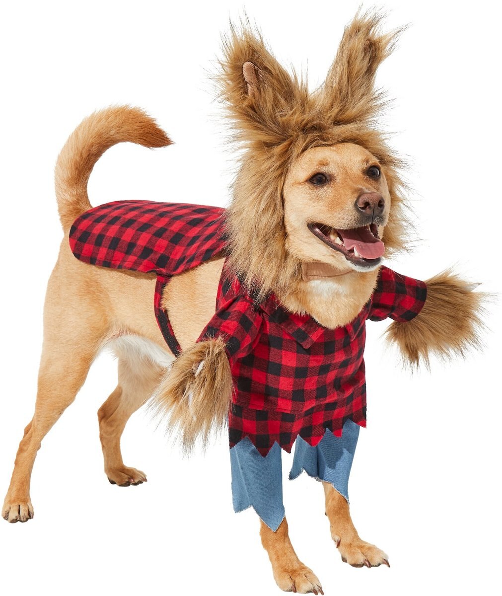 Frisco Front Walking Werewolf Dog and Cat Costume