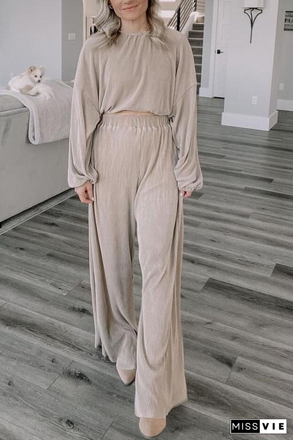 Pleated Crop Blouse Wide Leg Pants Set