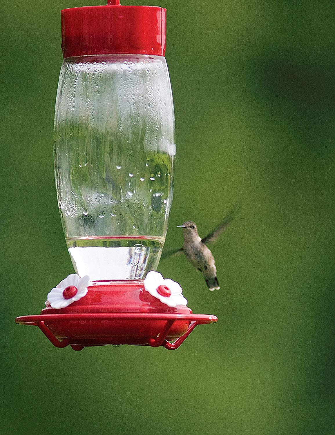 More Birds Hummingbird Feeder， 4 Feeding Stations， Red， 30-Ounce Nectar Capacity， Deluxe