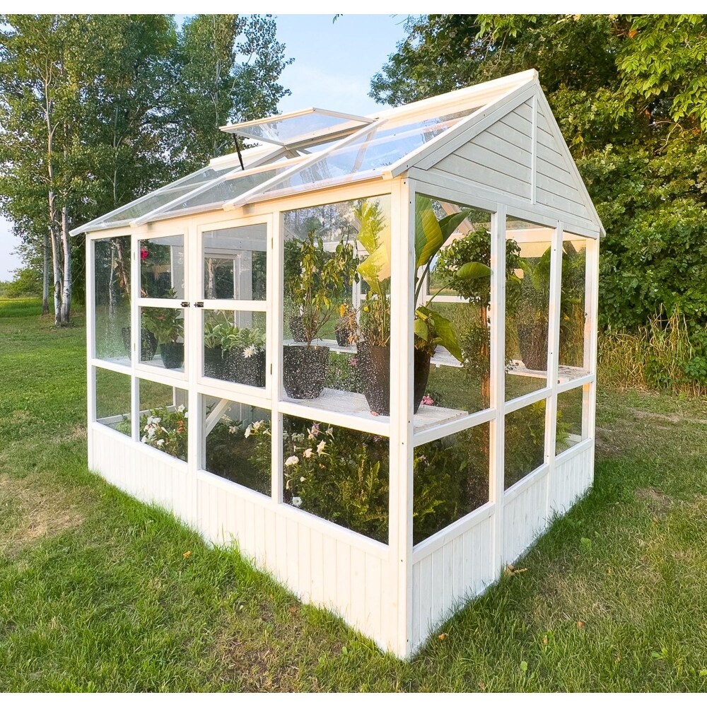 Zylina XL Hobby Greenhouse   103 x 78 x 89
