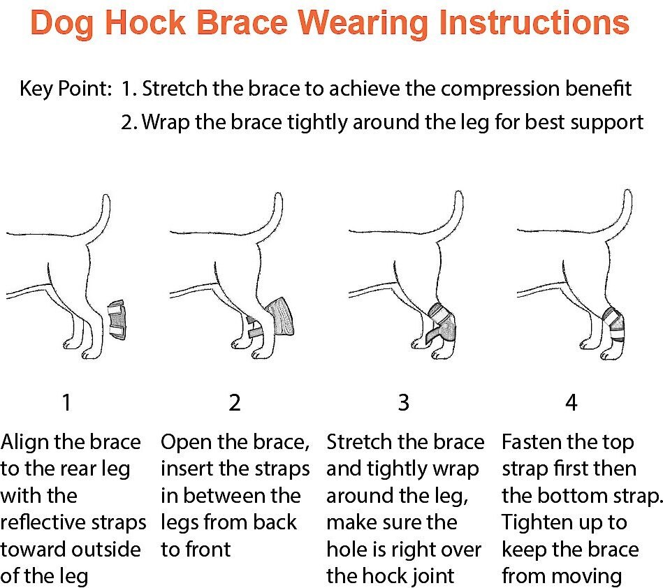 NeoAlly Rear Leg Dog Brace