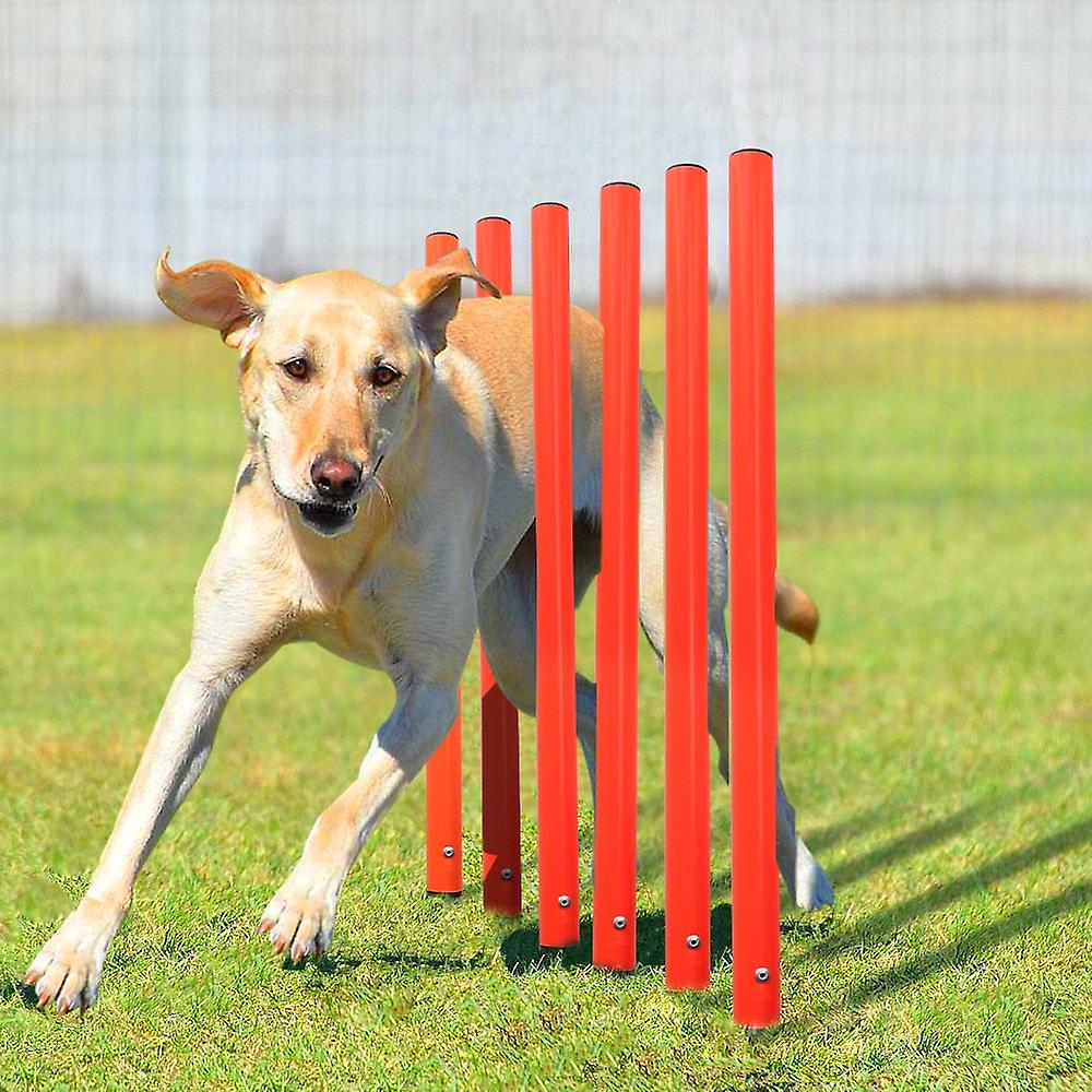 Outdoor dog training agility pole