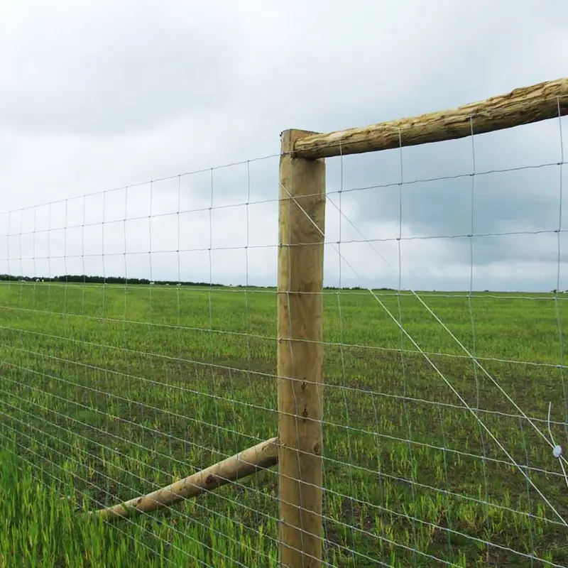 Factory supply best price hinge joint field fence goat farming grassland cheap field fence for sale