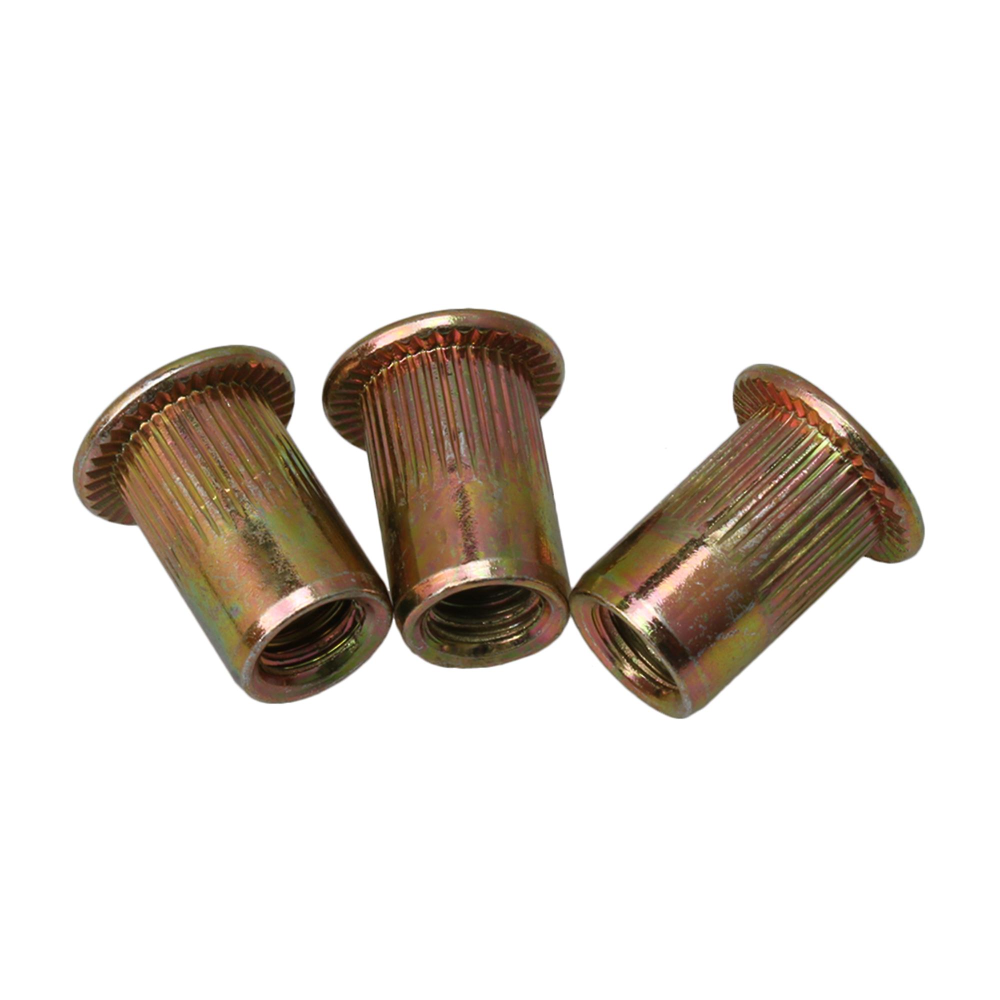 M6 Thread Instruments Furniture Flat Head Rivet Nut