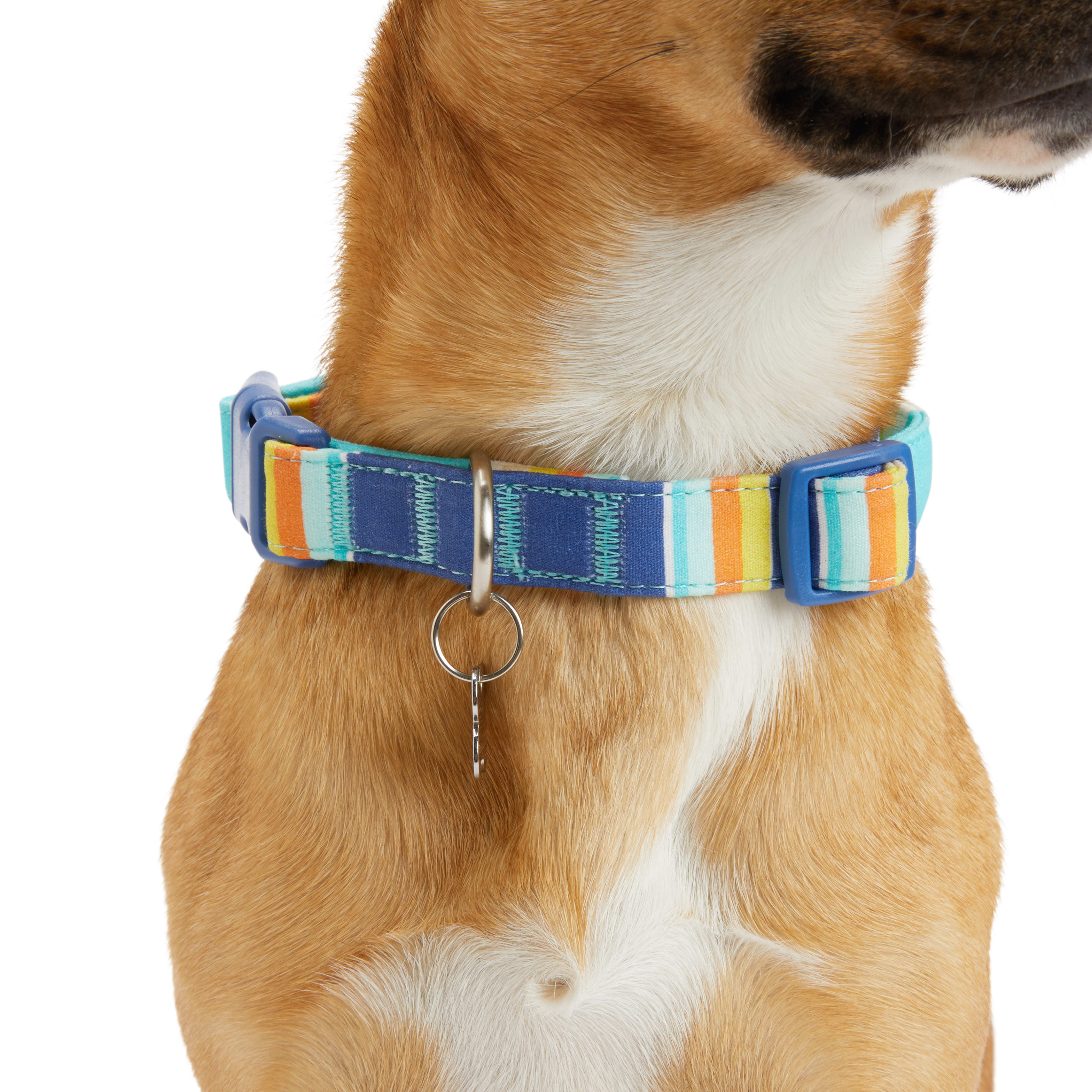 YOULY Blue/Orange Stripe Dog Collar， Small