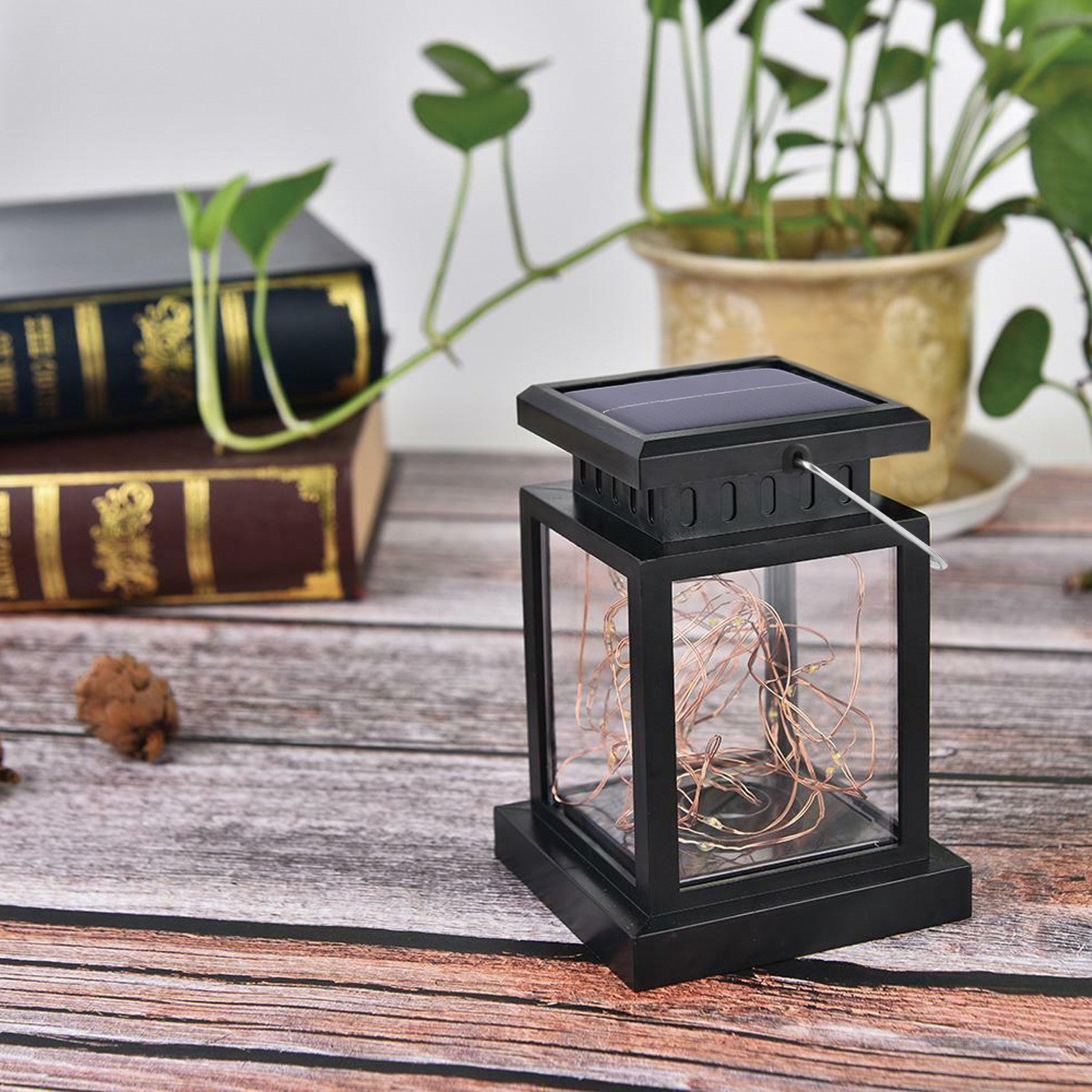 Elegant Choise Solar Lights Outdoor with Light String Waterproof Lighting for Garden Landscape