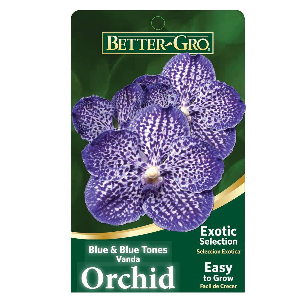 Better-Gro 4 in. Orchid Blue Vanda Package Plant Plastic Basket 20328