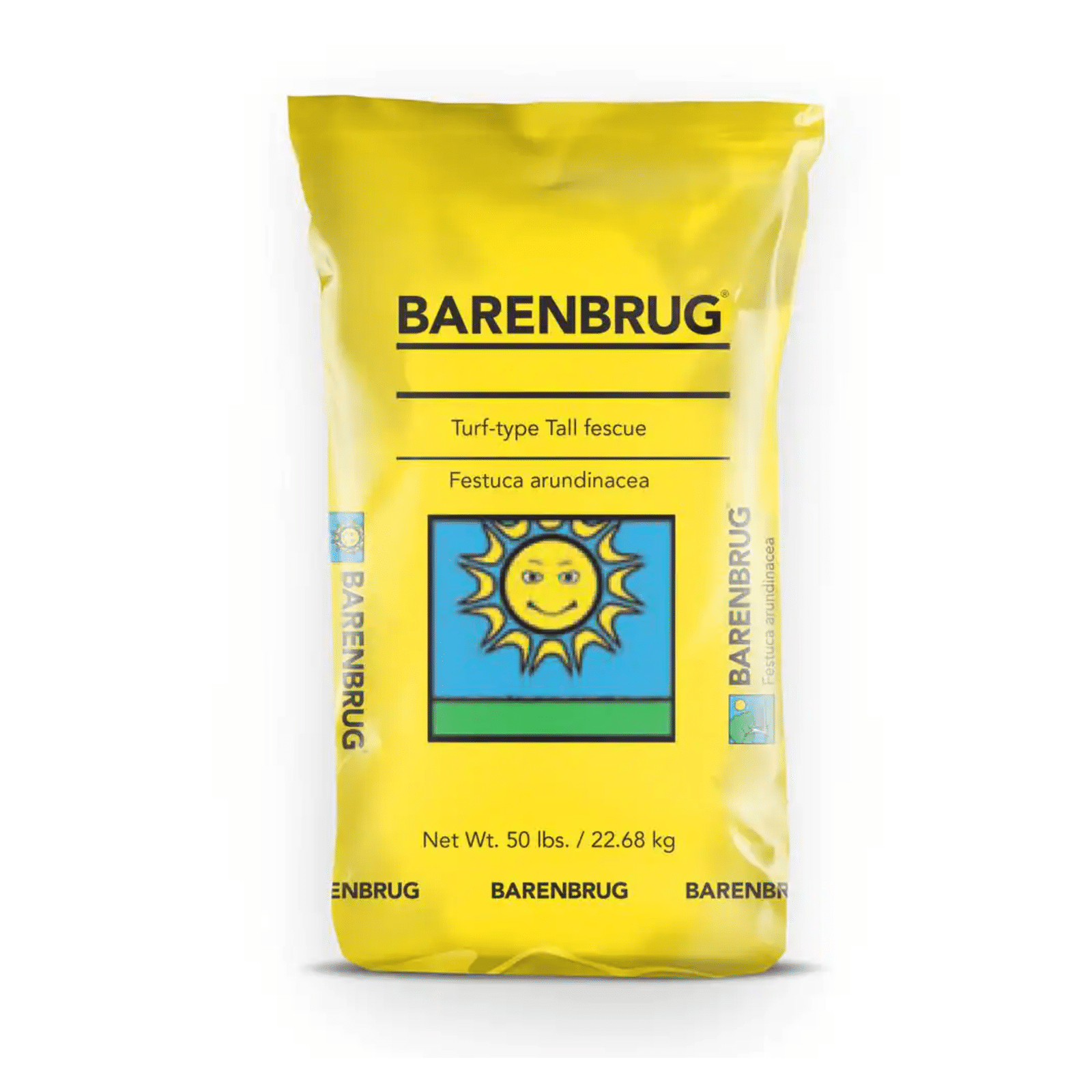 Barenbrug 50 lb. Barvado Tall Fescue Grass Seed