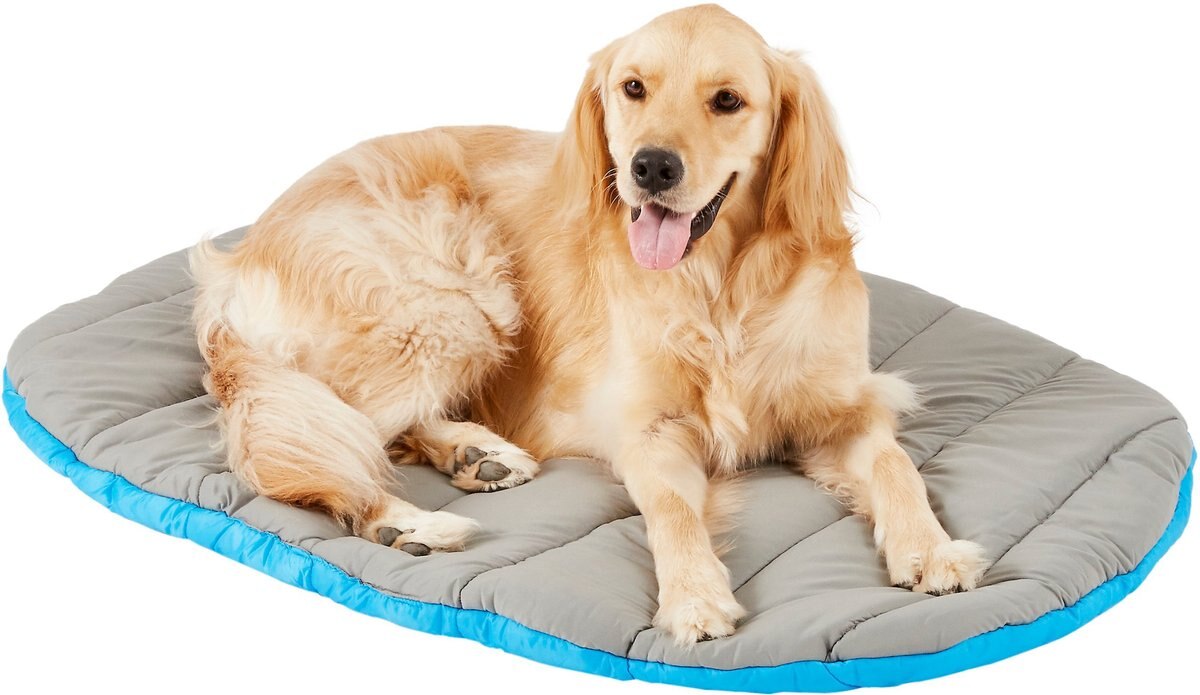 Chuckit! Travel Pillow Dog Bed