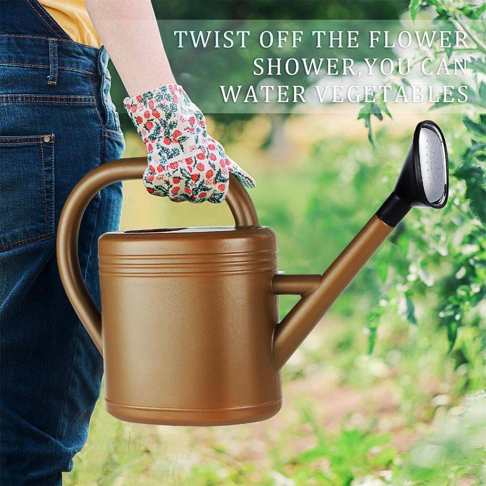 Dyiom 1 Gal. Brown Watering Can B0B18VXXPR