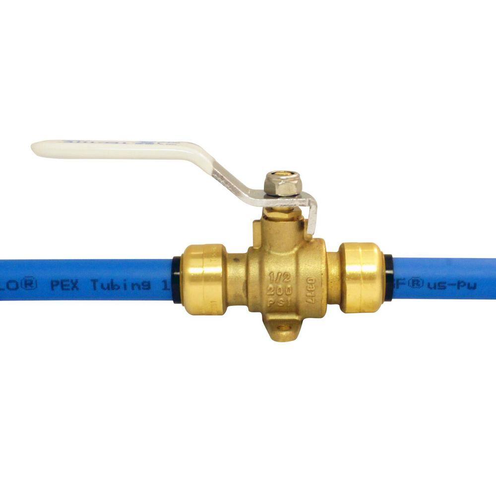 Tectite 12 in. Brass Push Ball Valve with Flange and Drain FSBBV12DE