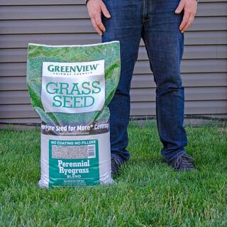 GreenView 20 lbs. Fairway Formula Grass Seed Perennial Ryegrass Blend (50-Bags250000 sq. ft.Pallet) 2829309