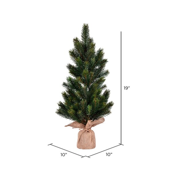 Vickerman 19 Balsam Fir Sapling Artificial Christmas Tree，Unlit