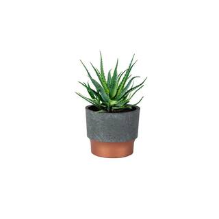 Vigoro 3 in. Nix Faux Concrete Small Gray Plastic Pot (3 in. D x 2.5 in. H) with Drainage Hole SSP03000K20